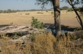 Savuti water hold 